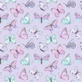 Seamless vector butterfly watercolor pattern. Vintage flying insect summer background. Colorful texture Royalty Free Stock Photo