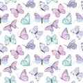 Seamless vector butterfly watercolor pattern. Vintage flying insect summer background. Colorful texture Royalty Free Stock Photo