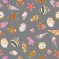 Seamless vector color pattern with shells. Hand drawn ÃÂ¼arine background.