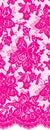PrintSeamless Vector Pink Lace Royalty Free Stock Photo