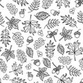 Seamless vector doodle leaves background. Black leaves on a white background. Acorns, oak tree, maple tree pattern. Monochrome