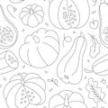 Seamless vector endless background with various shape pumkins. Autumn squash in contour linear hand drawn style made as repeat pat