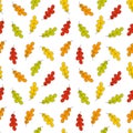 Seamless vector fall nature pattern from colorful falling oak tree leaves on white background. Cute creative cartoon print Royalty Free Stock Photo