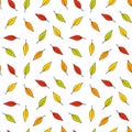 Seamless vector fall nature pattern from colorful falling tree leaves on white background. Cute creative cartoon print for kids