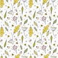 Seamless vector fall nature pattern from forest berries colorful oak tree leaves branches twigs in free hand doodle style Royalty Free Stock Photo