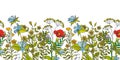 Seamless vector floral border with colored herbs and wild flowers