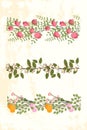 Seamless vector floral border. Seet pea flower, pink flowers bunch, cotton branch, green leaves.