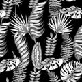 Seamless vector floral summer pattern background with black and white tropical leaves. Royalty Free Stock Photo