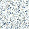 380_Seamless vector floral pattern with blue meadow flowers