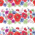 Seamless Vector Floral Pattern with Poppies , Anemones, Petunia and Fuchsia .