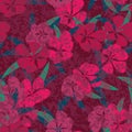 Seamless vector floral pattern in tyrian purple and pink Royalty Free Stock Photo