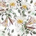Seamless vector floral pattern. White royal lilies flowers, herbs and berries. Royalty Free Stock Photo