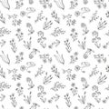 Seamless vector floral pattern, wildflowers hand drawn graphic botanical illustration, doodle sketch isolated on white