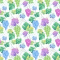 Seamless vector grapes white pattern background. In blue purple pink green cute pastel colors. Good for wine bar menu