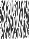 Tiger Zebra Print Seamless Pattern Black White Wild Vector Graphic Royalty Free Stock Photo
