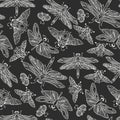 Seamless vector hand drawn pattern with fantasy butterflies, dragonflies, beetles, bugs and mothes. Royalty Free Stock Photo