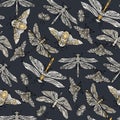 Seamless vector hand drawn pattern with fantasy butterflies, dragonflies, beetles, bugs and mothes. Royalty Free Stock Photo