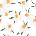 Seamless vector jonquil flower pattern background Royalty Free Stock Photo