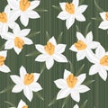 Seamless vector jonquil flower pattern background Royalty Free Stock Photo
