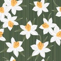 Seamless vector jonquil flower pattern background