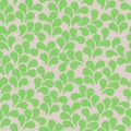 Seamless vector leaf pattern with white background