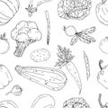 Seamless vector monochrome pattern of elements with hand drawn color vegetables on a white background Royalty Free Stock Photo