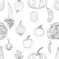 Seamless vector monochrome pattern of elements with hand drawn color vegetables on a white background Royalty Free Stock Photo