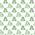 Seamless vector parsley pattern. Botanical background with spices, greens for textile. kitchen decor