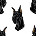 Seamless vector patern with pedigree muzzles of a Great Dane dog on a white background. Design wallpaper, veterinary, zoo shops