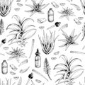 Seamless vector pattern of aloe vera branch and leaves. Hand drawn. Engraved medical, cosmetic plant. Moisturizing serum Royalty Free Stock Photo