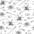 Seamless vector pattern of aloe vera branch and leaves. Hand drawn. Engraved medical, cosmetic plant. Moisturizing serum Royalty Free Stock Photo