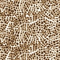 Seamless vector pattern with animal prints.