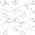 Seamless vector pattern with apples. Continuous stylized modern summer fruits pattern. Hand drawn line apple. Royalty Free Stock Photo