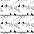 Seamless vector pattern background of silhouettes sparrows birds sitting on tree branches in spring, isolated on white