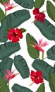 Seamless vector pattern banana leaves with red hibiscus flower and pink bird of paradise Royalty Free Stock Photo