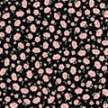 Seamless vector pattern of a beautiful flower, Royalty Free Stock Photo
