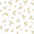 Seamless vector pattern of a beautiful flower, Royalty Free Stock Photo