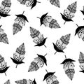 Seamless vector pattern with bird feathers. Beautiful feathers with ornaments on a white background. Hand-drawn vintage patterned Royalty Free Stock Photo