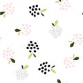 Seamless vector pattern with blackberries in white, black and pink colors on a white background. Berry texture for Royalty Free Stock Photo