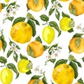Seamless vector pattern with blooming flowers and juicy citrus f