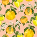 Seamless vector pattern with blooming flowers and juicy citrus f