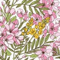 Seamless vector pattern of Blooming pink apple tree and senna flowers