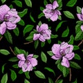 Seamless vector pattern with branches of pink flowers and green leaves of magnolia Royalty Free Stock Photo