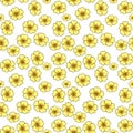 Seamless vector pattern of bright yellow primrose flowers with dark outlines on a white background Royalty Free Stock Photo