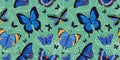 Seamless vector pattern with butterflies on green background. Pattern with insects Royalty Free Stock Photo