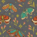 Seamless vector pattern. butterfly, flower, star. magic vintage illustration