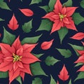 Seamless vector pattern with Christmas flower - red poinsettia on a dark background. Suitable for wrapping paper Royalty Free Stock Photo