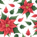 Seamless vector pattern with Christmas flower - red poinsettia on a white background. Suitable for wrapping paper Royalty Free Stock Photo