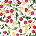 Seamless vector pattern with colorful cherries isolated on white background. Natural fresh berries concept illustration for