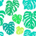 Seamless vector pattern of colorful leaves Monstera. Exotic tropical repeat ornament.